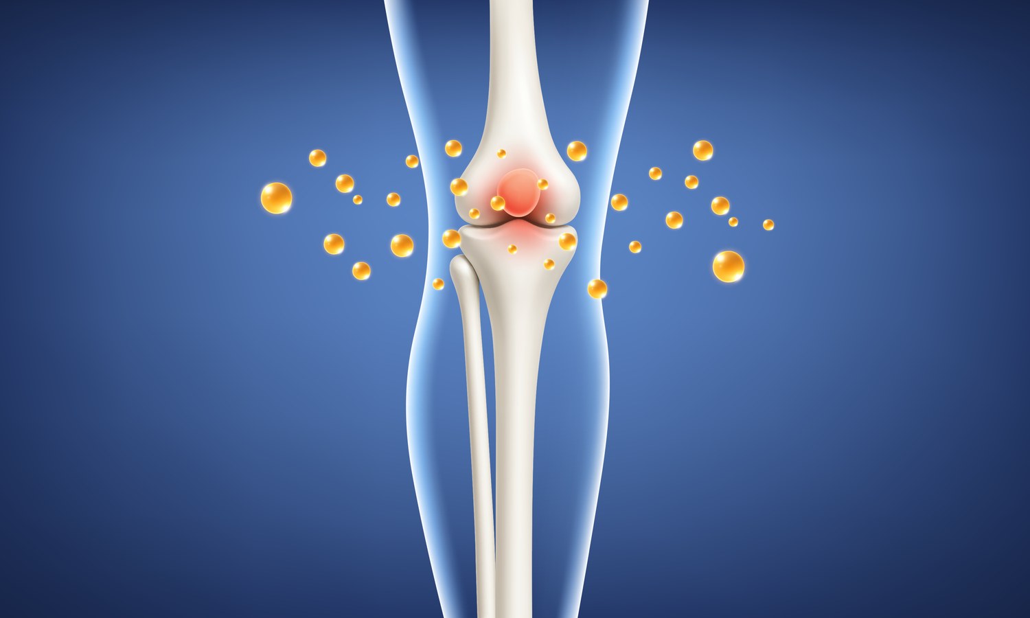 Cart&iacute;lago y articulaci&oacute;n de la rodilla (provisional)