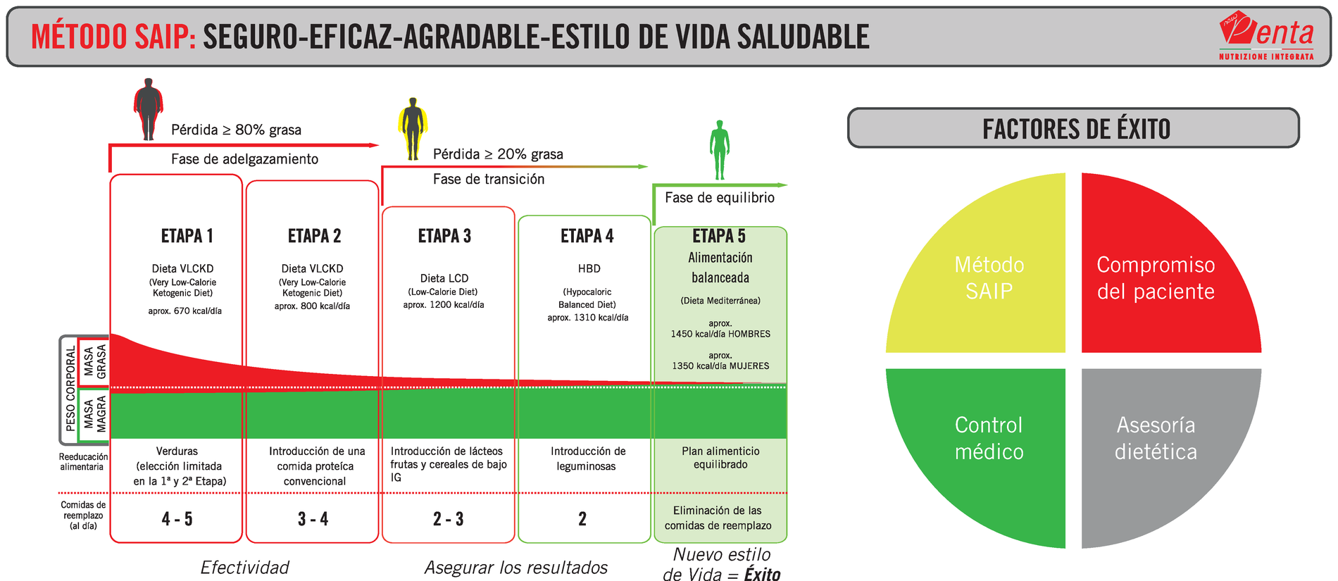 M&eacute;todo SAIP: cinco etapas, factores de &eacute;xito y mecanismo de cetosis