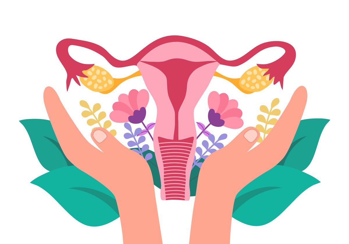 Ilustraci&oacute;n de fertilidad: manos sosteniendo el aparato reproductor femenino